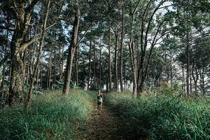 BIB: 
                            <button type="button" onclick="openModal(25656993)" class="btn btn-primary btn-sm float-right btn-popup" data-toggle="modal" data-target=".modal-high-quality">
                        <i class="fas fa-shopping-cart"></i> Add to Cart
                    </button>
                                            <button type="button" onclick="isThisMe(25656993, true)" class="btn btn-success btn-sm float-right btn-popup btn-isme hidden" data-toggle="tooltip" data-placement="bottom" title="นี่คือรูปของคุณใช่ไหม คลิกที่นี่เพื่อเอาเข้าอัลบั้ม">
                        <i class="fas fa-plus"></i> Add to album
                    </button>
                    <button type="button" onclick="isThisMe(25656993, false)" class="btn btn-warning btn-sm float-right btn-popup btn-isnotme hidden">
                        <i class="fas fa-ban"></i> Remove from album
                    </button>